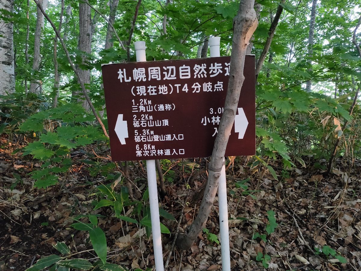 早朝登山 砥石山 中ノ沢入り口